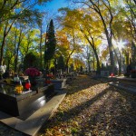 Cmentarz-Lipowa-Jesien-20